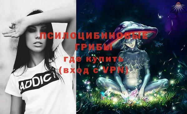 мяу мяу мука Абаза